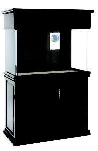RS Espresso CR