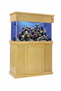 Rosette Light Pine w Reef